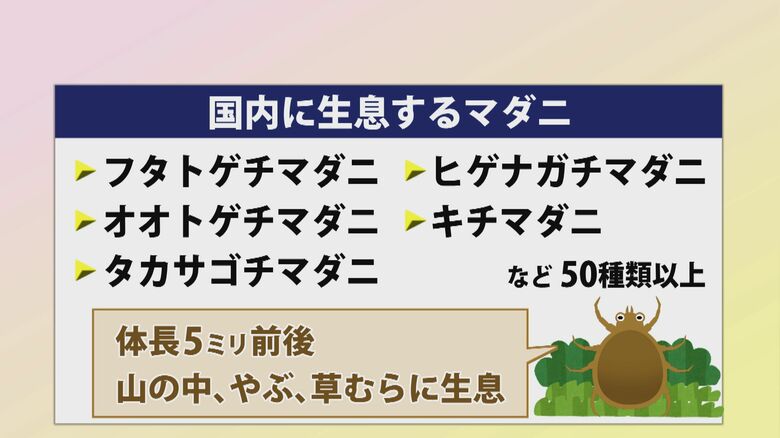 50種類以上が生息するマダニ