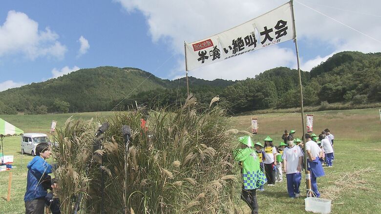 由布市湯布院町