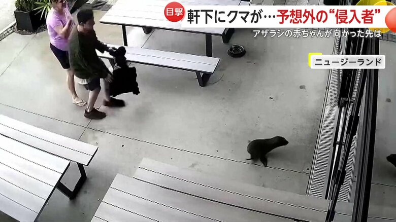 パニックに陥る客たちをよそに、どんどん奥へと進んでいくアザラシの赤ちゃん
