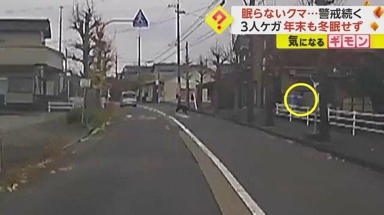 道路の向こうから急接近するクマに気づいた人が慌てて逃げる瞬間③