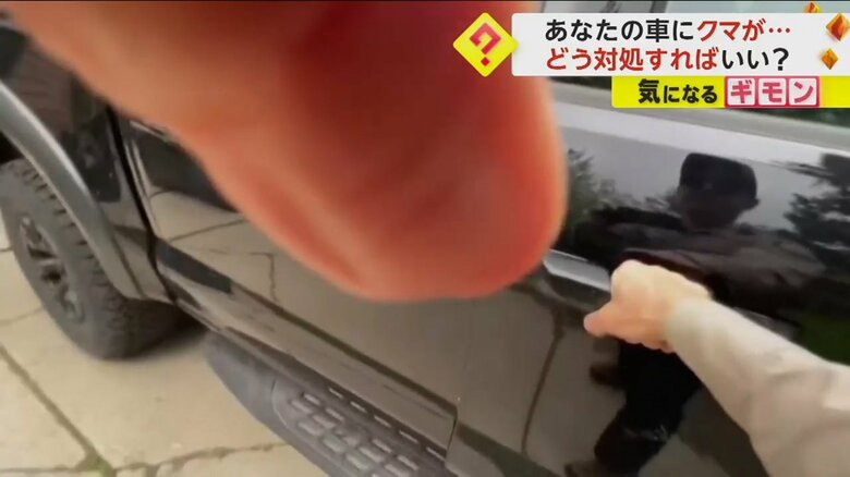 車のドアを開ける野生生物の担当者（Colorado Parks and Wildlife/TMX）