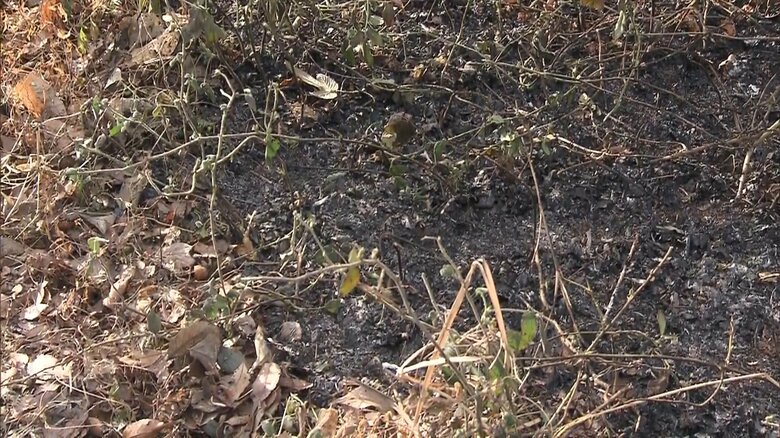 21日も宇都宮市内で雑木林など燃える