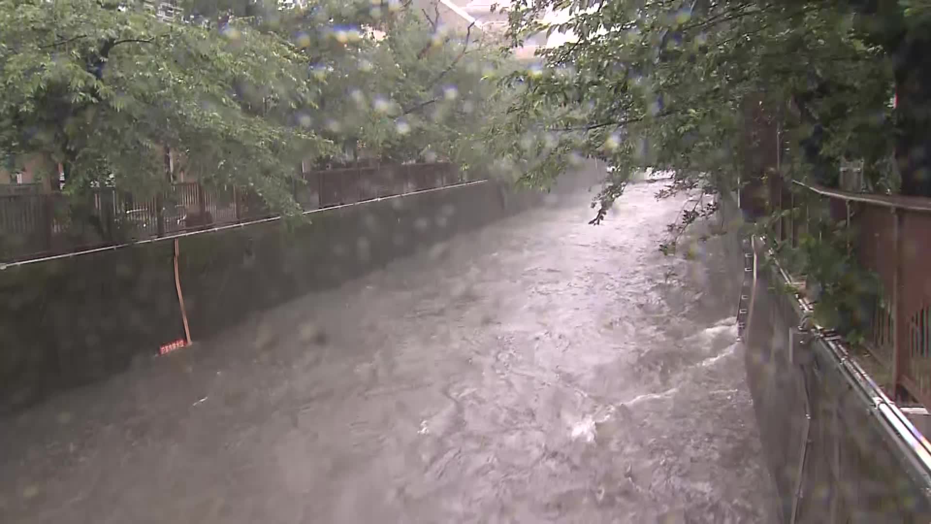 【速報】東京の目黒川でレベル4氾濫危険警報　氾濫危険水位超える