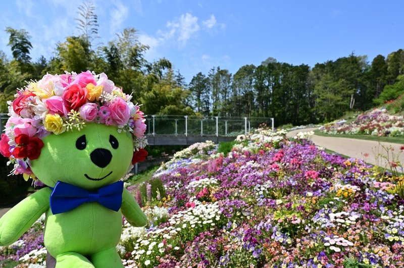 職人が手作業で作る 100の花壇を組み合わせた大花壇は必見 花と緑を１つにつなげる ガーデンネックレス横浜