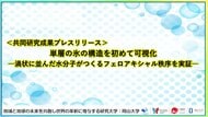 単層の氷の構造を初めて可視化-渦状に並んだ水分子がつくるフェロアキシャル秩序を実証-〔静岡大学,東京大学,岡山大学,広島大学,高輝度光科学研究センター,東京理科大学,名古屋大学,芝浦工業大学〕