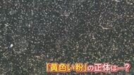 黄砂？空気中の汚れ？ 車に付着する謎の“黄色い粉” SNS投稿相次ぐ 気象台は｢黄砂は確認されず｣ その正体とは… 【福岡発】