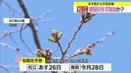 松江は26日に開花？最新予想…天気回復後は春本番の陽気に恵まれ桜前線北上　4月上旬に満開へ