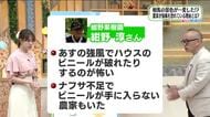 【福島県・5月28日の天気】湿気が多く蒸し暑い一日に　29日は強風の可能性　備えを