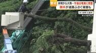  未明から大雨、今後は奄美に雨雲　倒木が道路ふさぐ被害も【鹿児島】