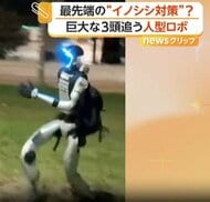 話題のインフルエンサー“人型ロボット”が巨大イノシシ追い払う　市街地で買い物やバス乗車、議会を訪れる姿も　ポーランド