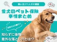 【飼い主271人に調査】犬のペット保険は月額「●,000円台」が最多！家計を圧迫せずに「万が一」に備えるリアルな相場が判明