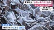 「夏から一気に冬が来た感じ」名古屋で最低気温8.6度など東海3県はこの秋一番の寒さに 高山市六厩では氷点下3.5度観測