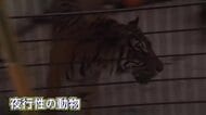 閉園後の動物の生態を観察　フェニックス自然動物園でトワイライトZOOウォッチャー