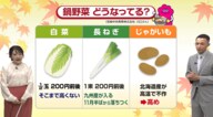 気温18℃「鍋ライン」と命名　天気から見る「食卓のヒント」と冷え込みで気になる「鍋野菜の価格」