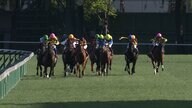 【札幌記念＆中京記念】夏競馬唯一のGⅡにGⅠ馬ステレンボッシュが参戦！ 中京では秋のマイル戦線を占う一戦！  