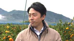 小泉進次郎の覚悟 「農政は素人、これから勉強する」と語った部会長の手腕