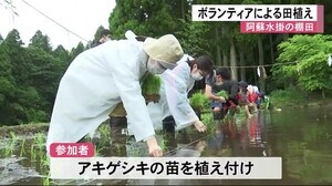 「阿蘇水掛の棚田」でボランティアによる田植え(熊本)