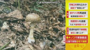 “毒キノコ”食べた家族4人搬送　「テングタケ」公園で採取し自宅で調理…錯乱状態で嘔吐やけいれん起こす