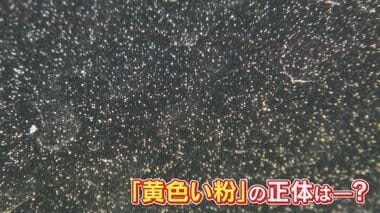 黄砂？空気中の汚れ？ 車に付着する謎の“黄色い粉” SNS投稿相次ぐ 気象台は｢黄砂は確…