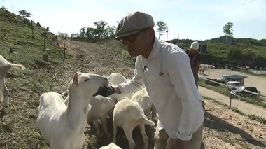 “ヤギと東北に魅せられて” 東京から岩手・宮古市へ移住した店主のヤギミルク専門店 おいしさの秘密は…
