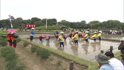 太鼓の音色に合わせ昔ながらの田植え…日本三名園の一つ「岡山後楽園」で恒例のお田植え祭【岡山】