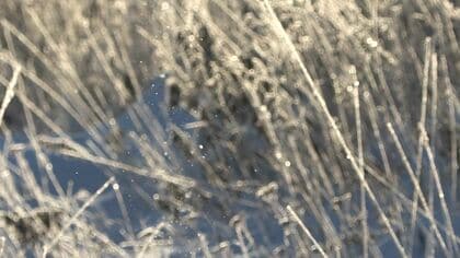 “斜里町-17.8℃”で「ダイヤモンドダスト」舞う…道東で今季一番の冷え込み＿道内26地点で氷点下10度を下回る〈北海道〉