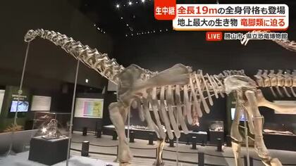 餌を丸のみし巨大化…竜脚類の謎に迫る　全長19メートルシンジャンティタンや“学説を覆す”化石も　福井県立恐竜博物館で特別展が開幕　夏休み期間は時間延長