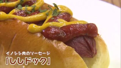 イノシシ肉で作った「ししドック」高校生が開発　臭み抑えた味に驚き【佐賀県】
