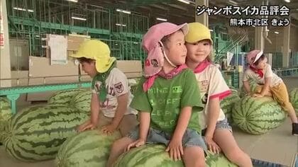 園児が乗っても大丈夫！１００キロ超え　驚きのジャンボスイカ品評会【熊本】