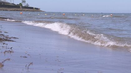酎ハイなど15本以上飲み泥酔状態…海水浴場で男性が溺れる　小中学生の兄妹が高波に…助けようと19歳男性も溺れる