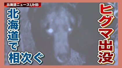 春グマ 相次ぐ出没　通学路周辺で目撃　人が襲われたケースも…行政のヒグマ対策は？ 【北海道発】