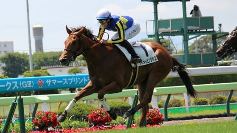 【競馬】函館競馬が開幕　函館スプリントステークスは北村友一騎乗のビューロマジックが優勝「トップスプリンターの素質がある」　宝塚記念に向け「馬の力を出し切れるように」