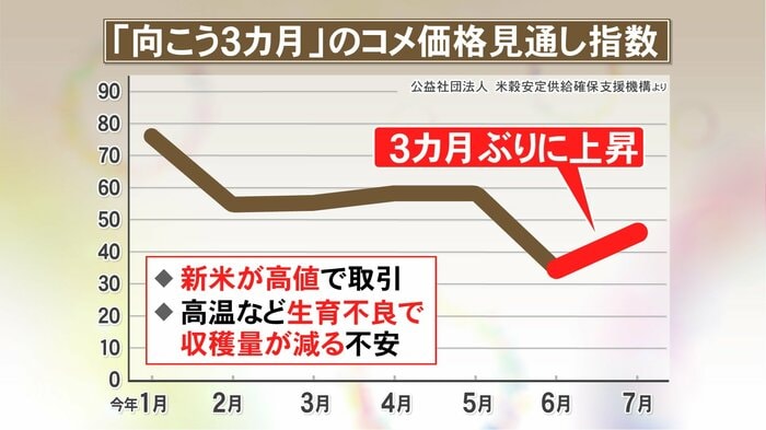 ニュースONE