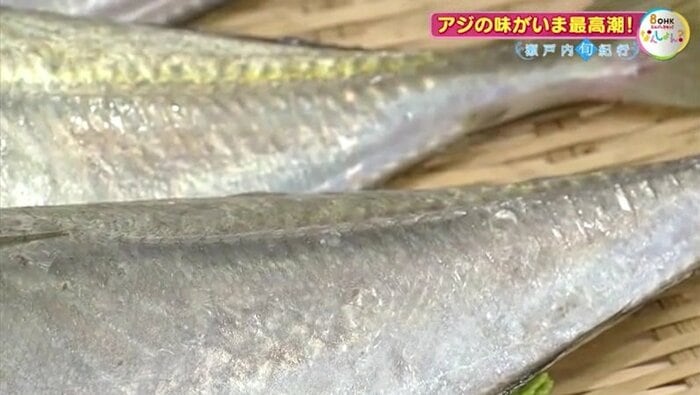 ゼイゴと呼ばれるウロコ