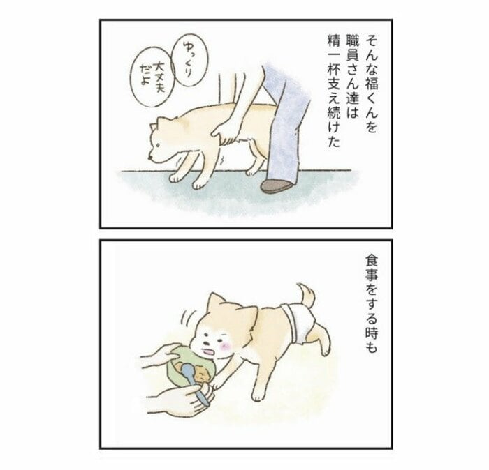 『たまさんちのホゴイヌ2』(世界文化社)より