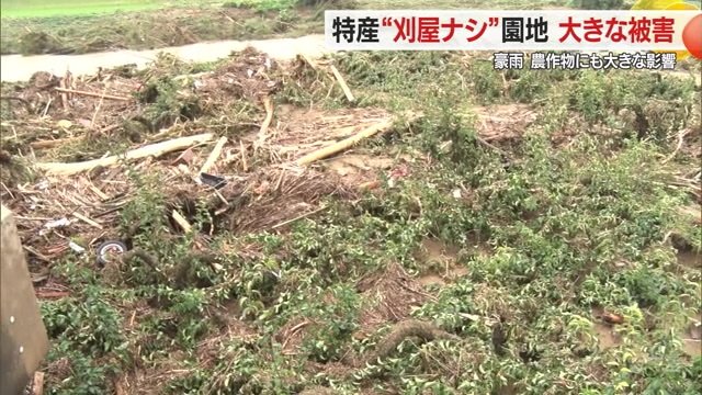 被害を受けたナシ畑