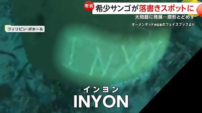 サンゴに刻まれた「INYON」という文字