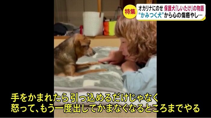 提供・小林さん