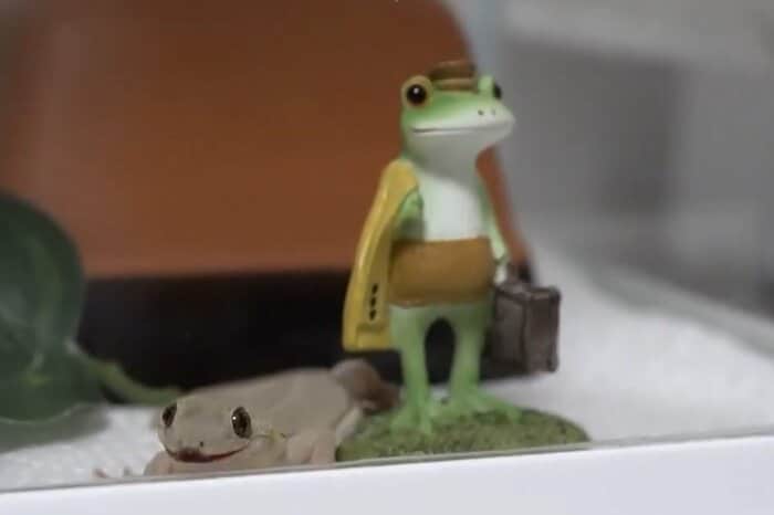 さっきまでポーズを取っていたヤモリと同じには見えない
