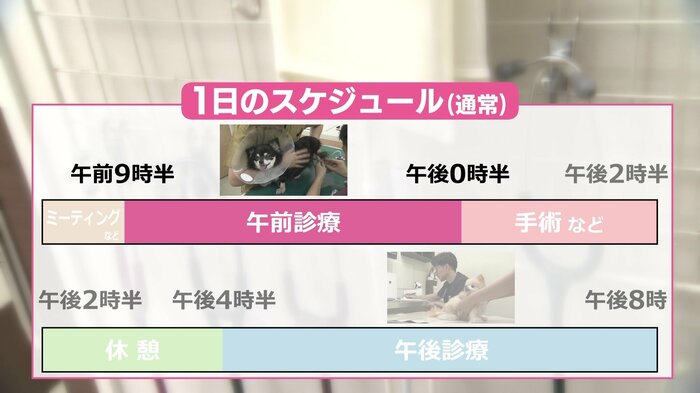 さくら通り動物病院のスケジュール