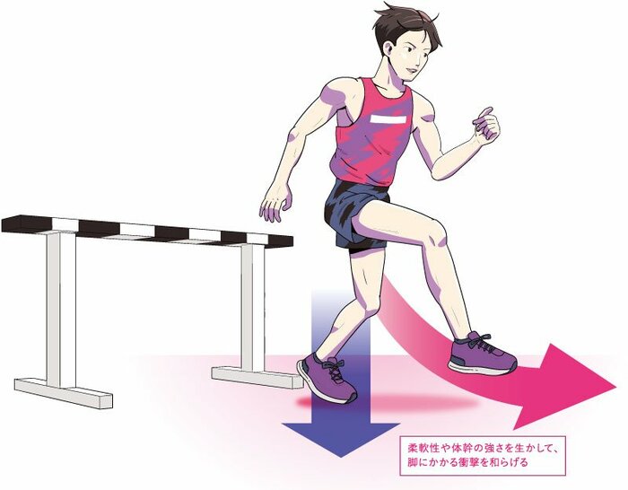 柔軟性や体幹の強さを生かして、脚にかかる衝撃を和らげる