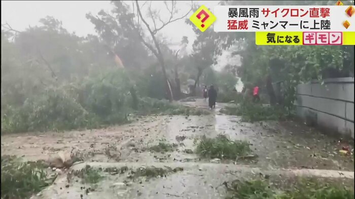 暴風雨で折れた枝が散乱する道