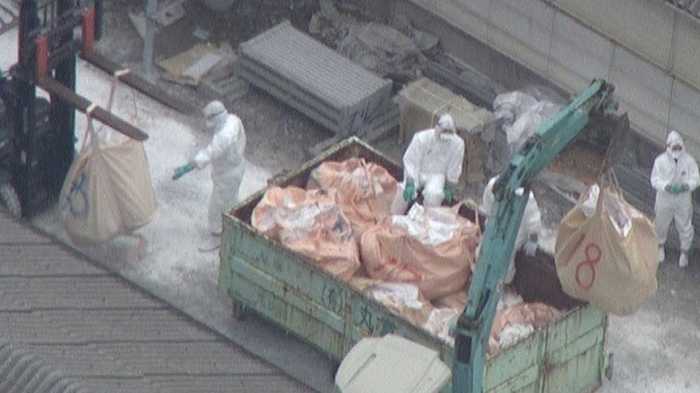 「日本から豚がいなくなる」も…なぜワクチン打たず? 豚コレラ拡大の悲痛の中で苦悩する政府