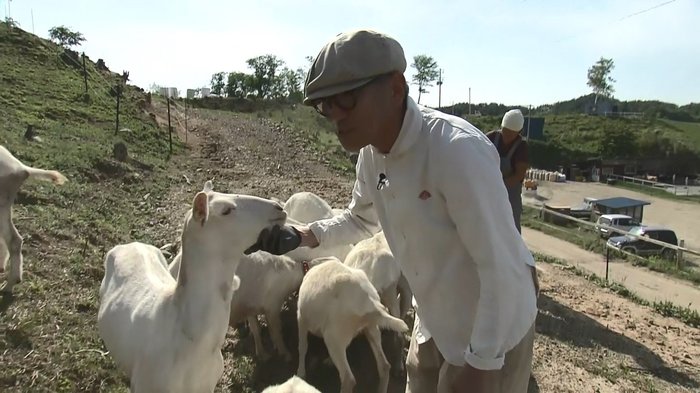 “ヤギと東北に魅せられて” 東京から岩手・宮古市へ移住した店主のヤギミルク専門店 おいしさの秘密は…