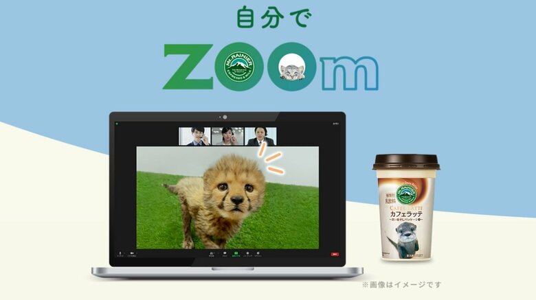 オンライン会議にかわいい動物たちが参加!? Zoomならぬ「ZOOm」で癒やし提供…イチオシ動物を聞いた｜FNNプライムオンライン