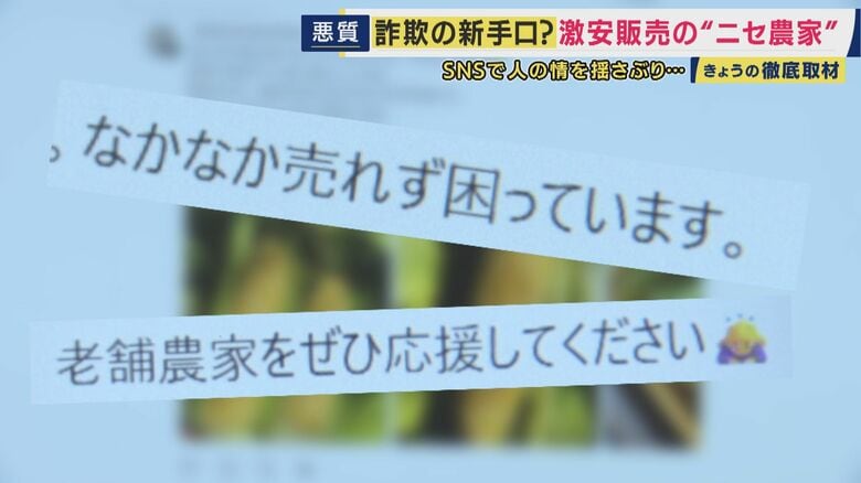 実在する農園の名を悪用も…SNSに潜む“ニセ農家”に注意　「不自然に安い価格は詐欺を疑って」　収穫期を迎えた旬のフルーツが標的に｜FNNプライムオンライン
