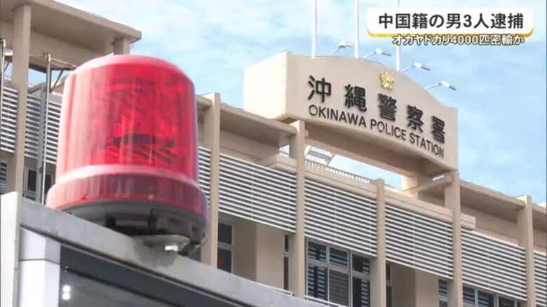 オカヤドカリ4000匹あまり密輸図ったか　中国籍の男3人を逮捕｜FNNプライムオンライン