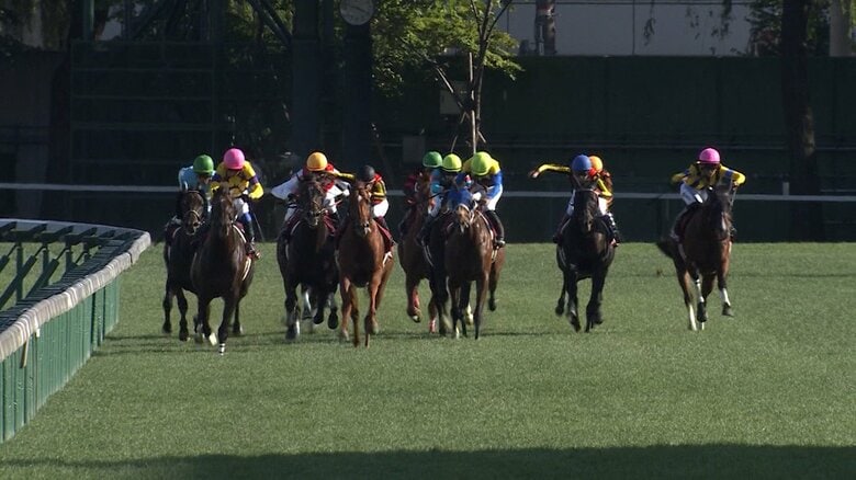 【札幌記念＆中京記念】夏競馬唯一のGⅡにGⅠ馬ステレンボッシュが参戦！ 中京では秋のマイル戦線を占う一戦！  ｜FNNプライムオンライン
