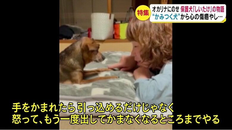 提供・小林さん