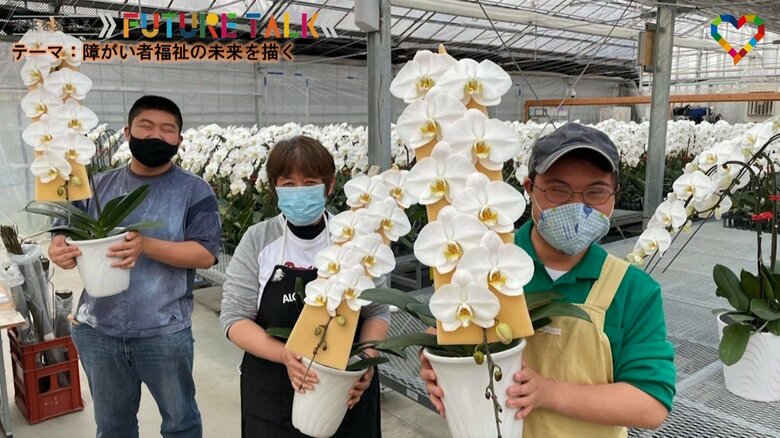 AlonAlon OrchidGarden